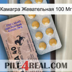 Камагра Жевательная 100 Мг 41